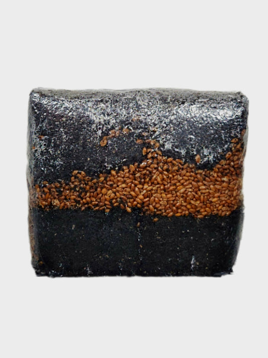 "BLACK GOLD GROW BLOCK" All-in-One Grain/Dung/Compost Mushroom Growing Kit (6 lbs)